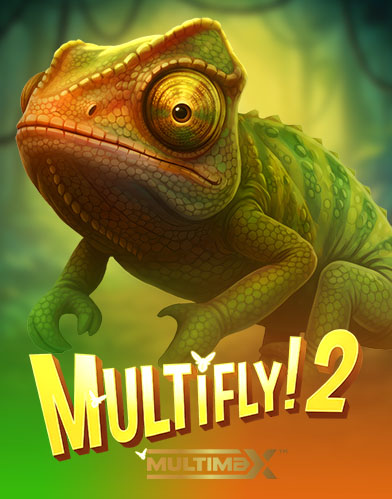 MultiFly! 2 MultiMax